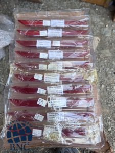 شبرنگ سپر فونیکس Fx